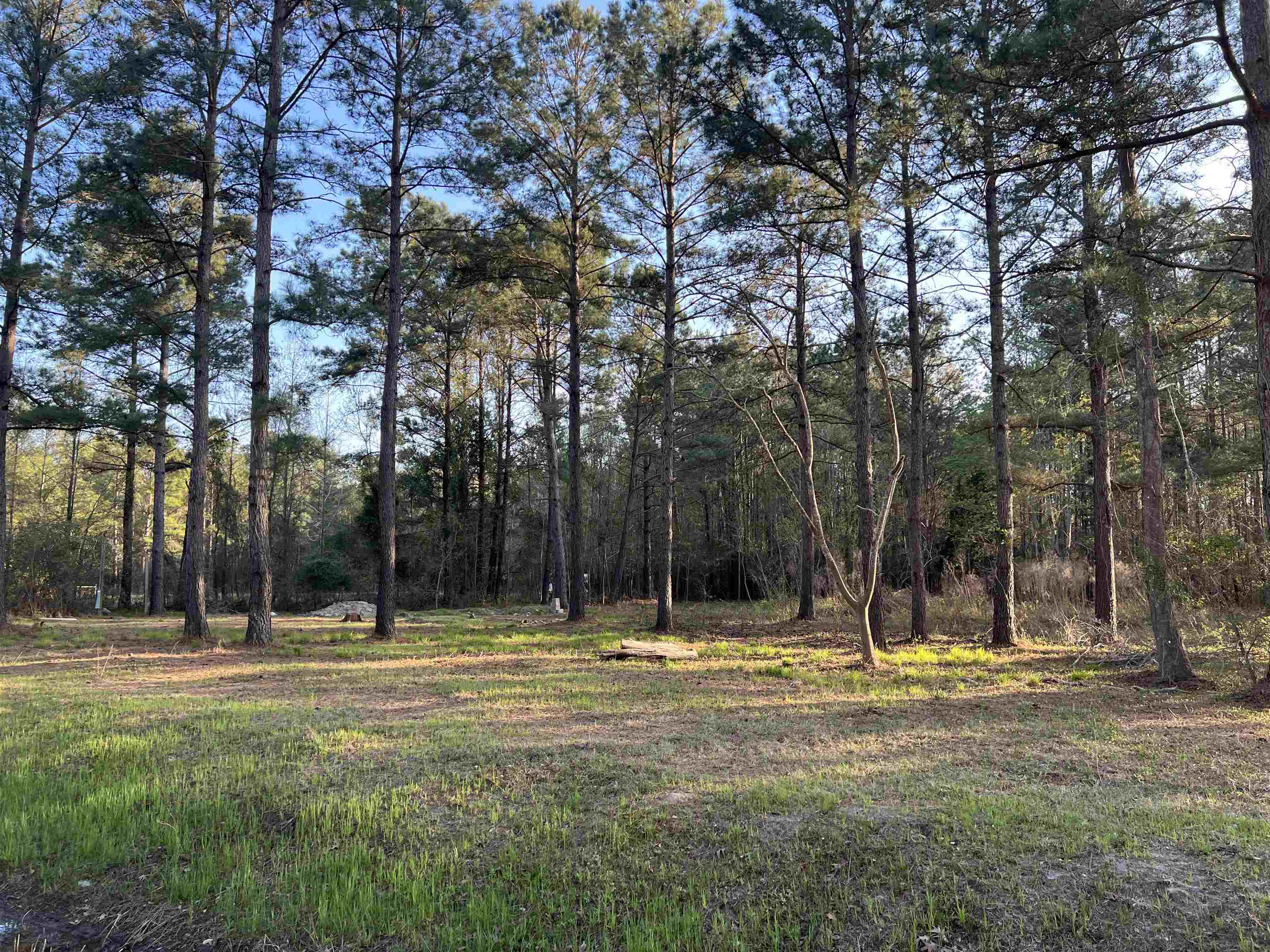 2108 Lees Landing Circle Conway, SC 29526 - Photo 2 of 14