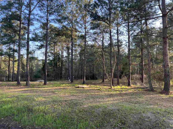 $103,000 | 2108 Lees Landing Circle, Conway, SC 29526