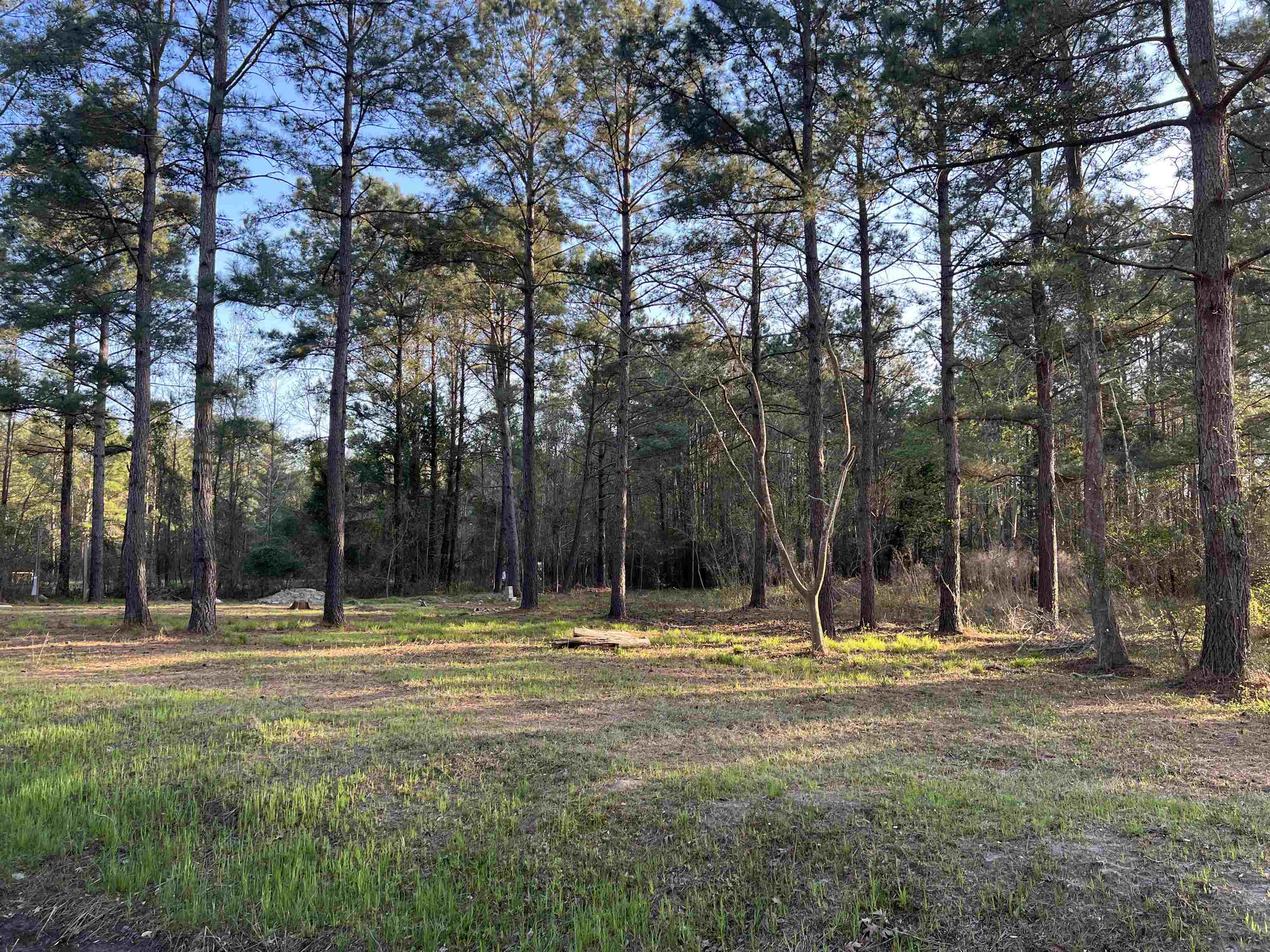 2108 Lees Landing Circle Conway, SC 29526 - Photo 3 of 14