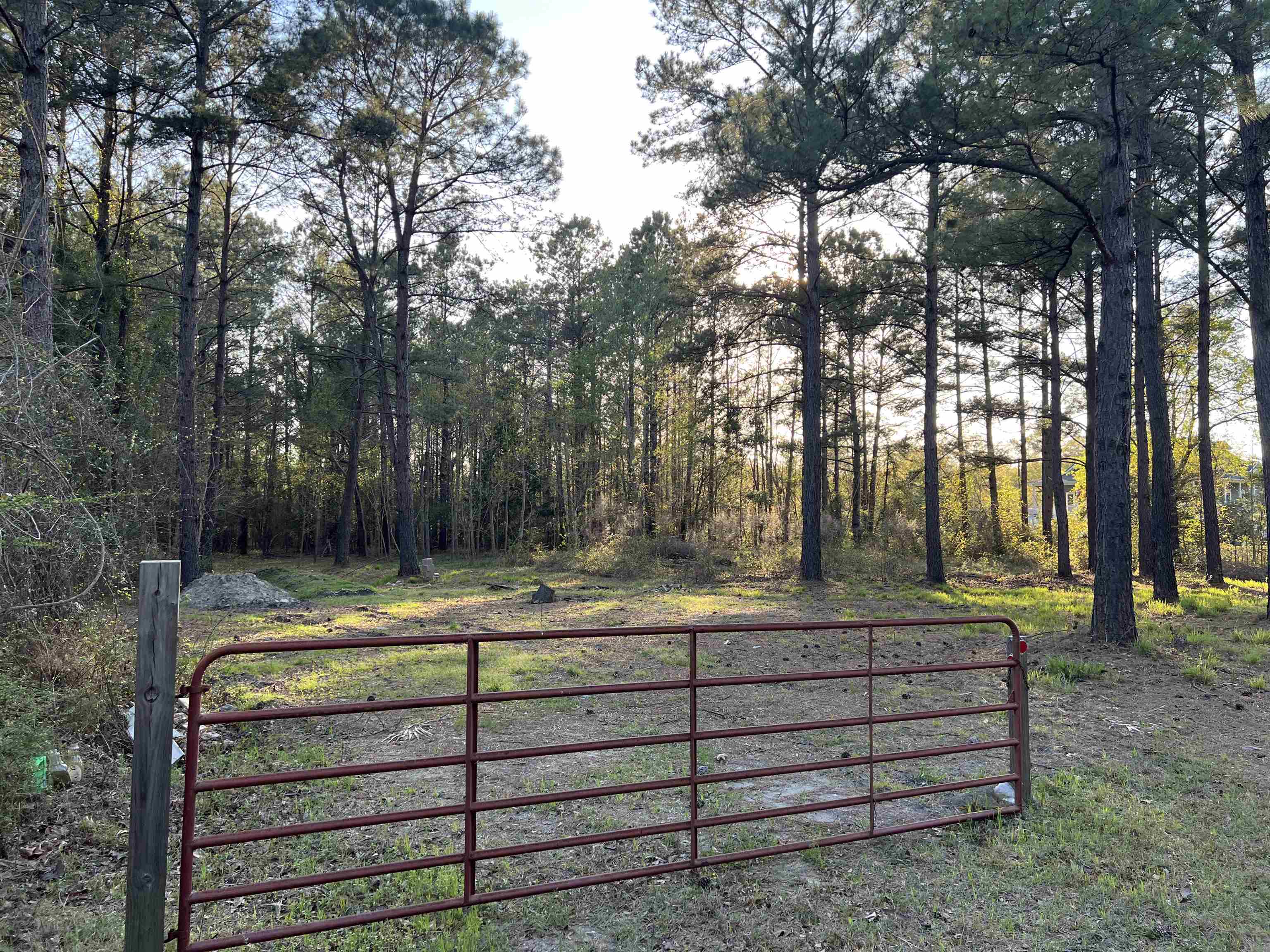 2108 Lees Landing Circle Conway, SC 29526 - Photo 4 of 14