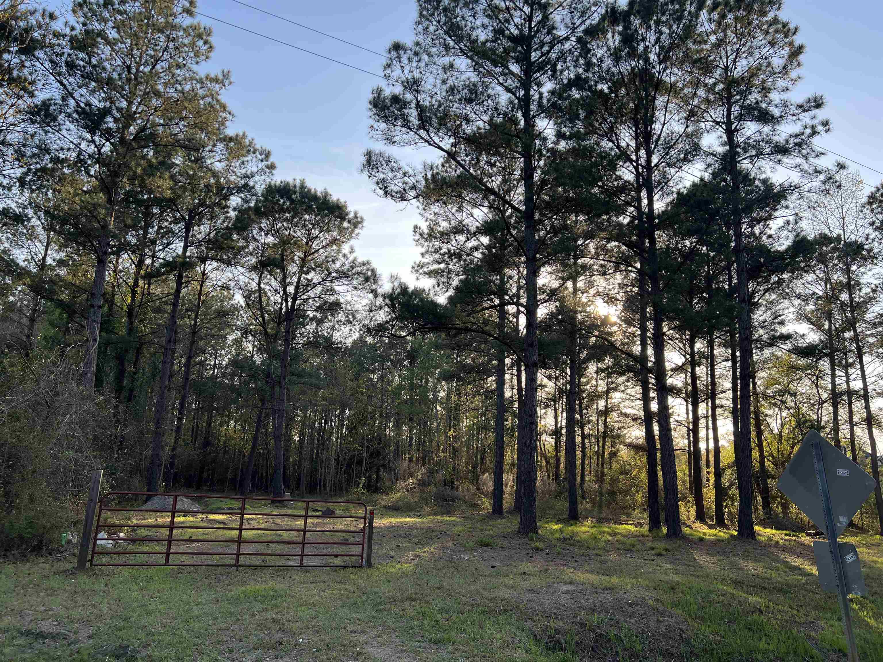 2108 Lees Landing Circle Conway, SC 29526 - Photo 7 of 14