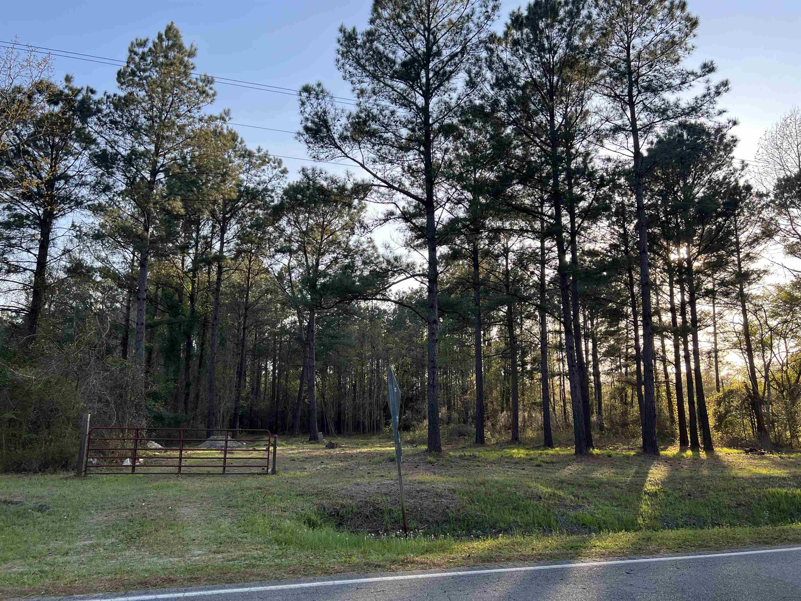 2108 Lees Landing Circle Conway, SC 29526 - Photo 8 of 14