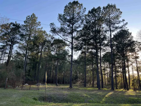 $103,000 | 2108 Lees Landing Circle, Conway, SC 29526