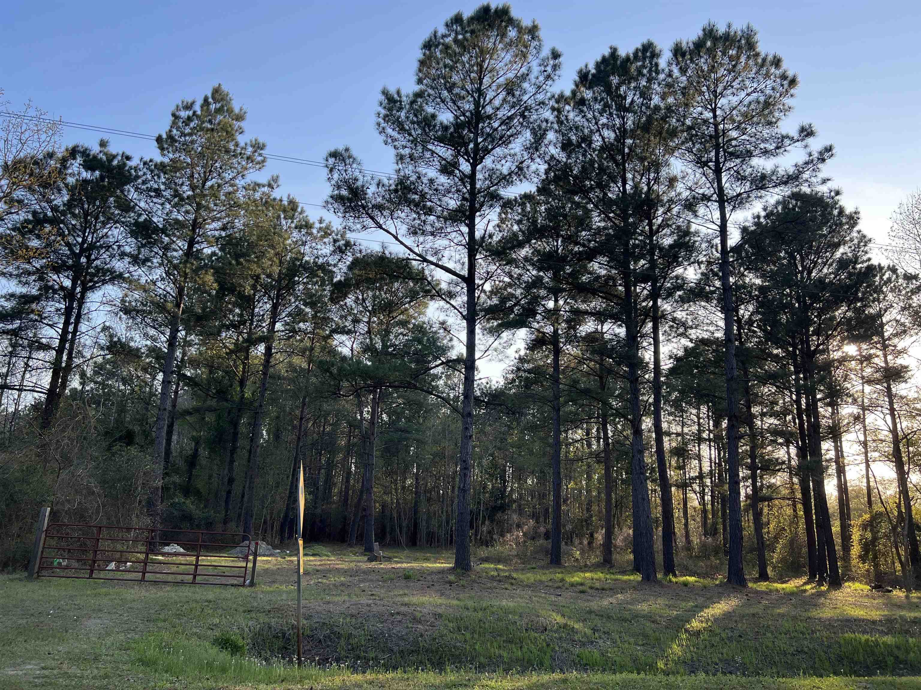 2108 Lees Landing Circle Conway, SC 29526 - Photo 9 of 14