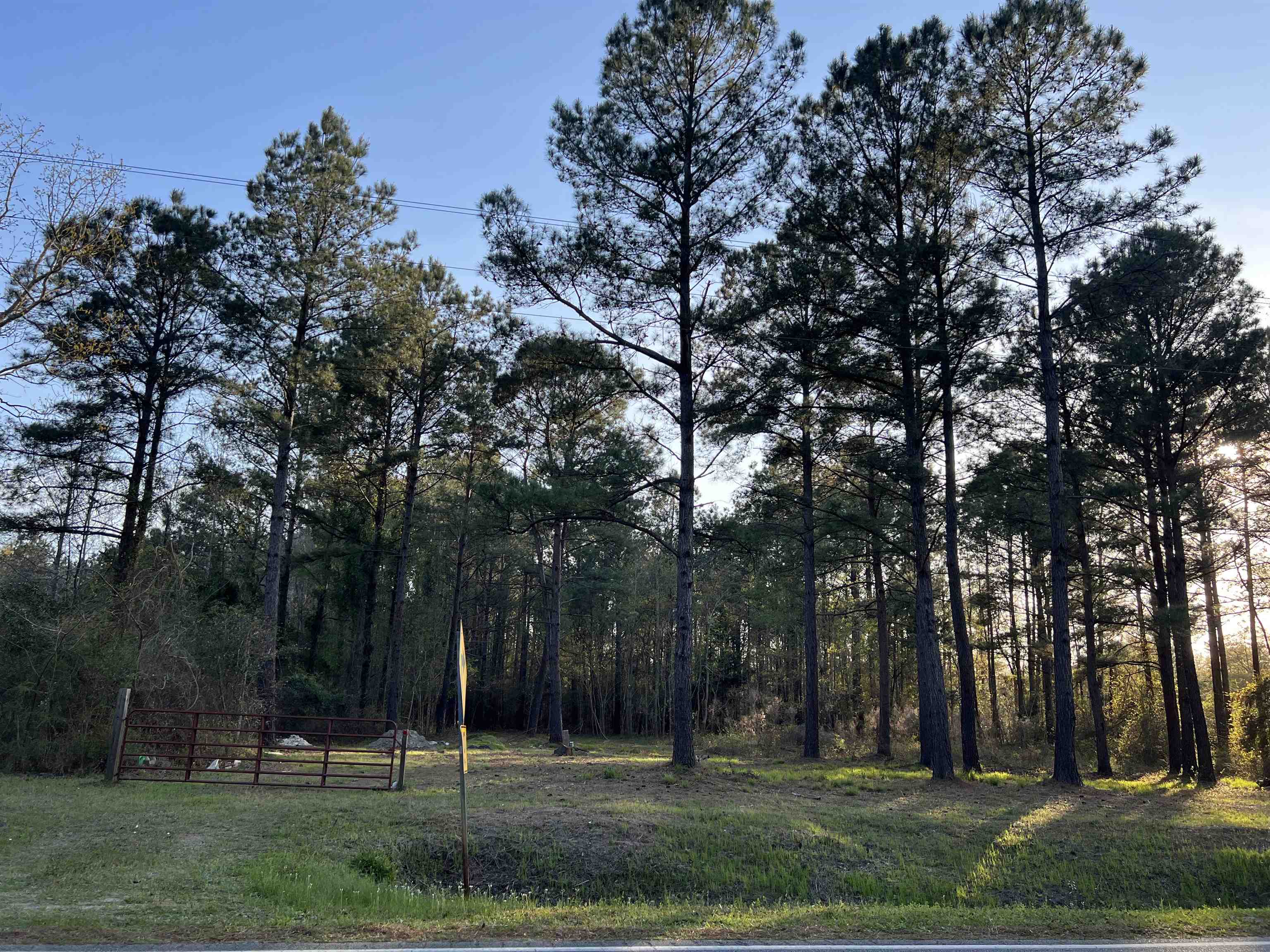 2108 Lees Landing Circle Conway, SC 29526 - Photo 10 of 14