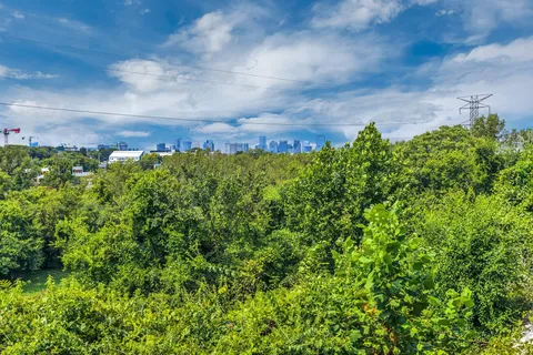 a view of a bunch of trees and bushes