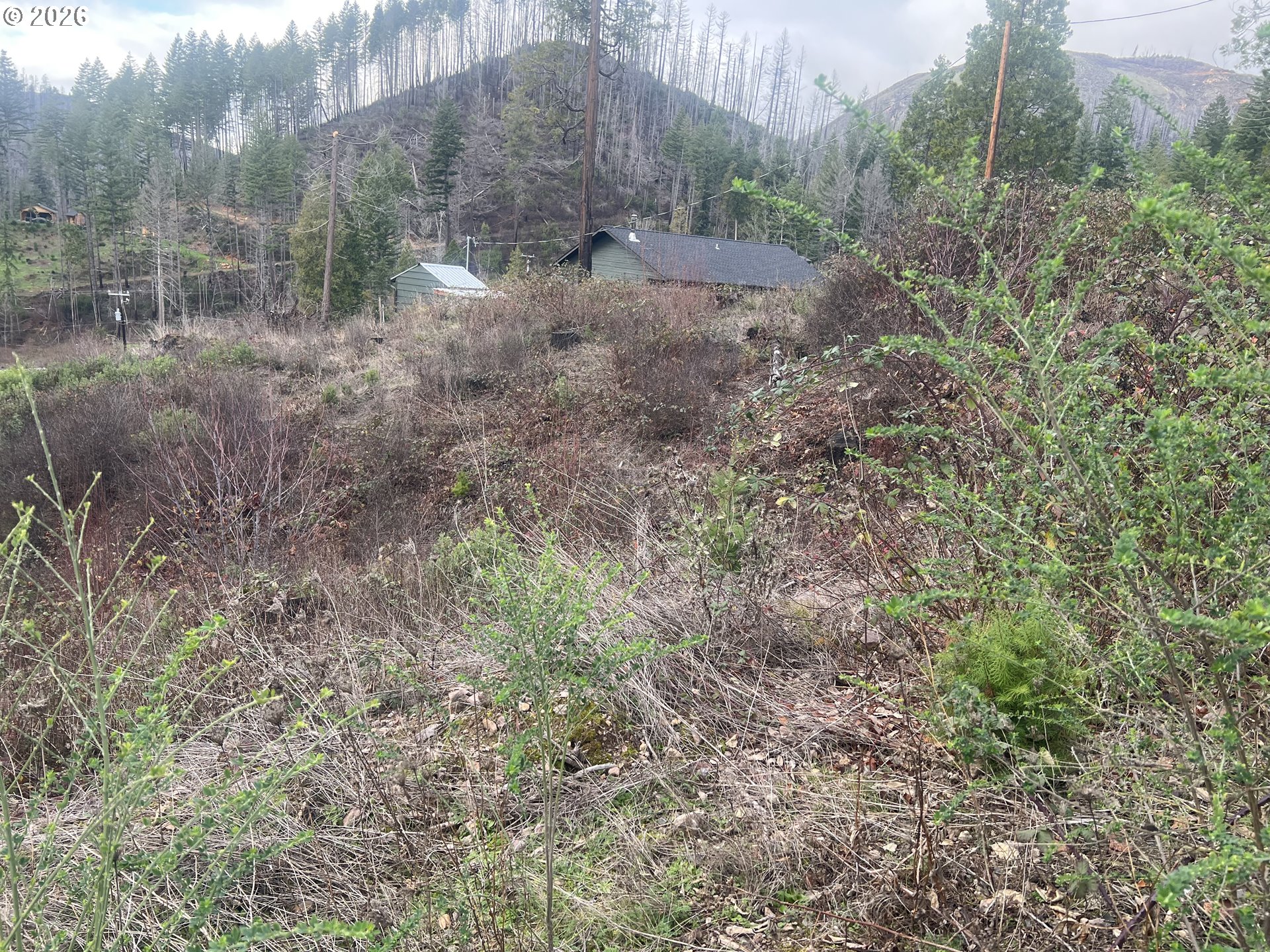 Evergreen Lane Idleyld Park, OR 97447 - Photo 2 of 6 a view of a dry yard with trees
