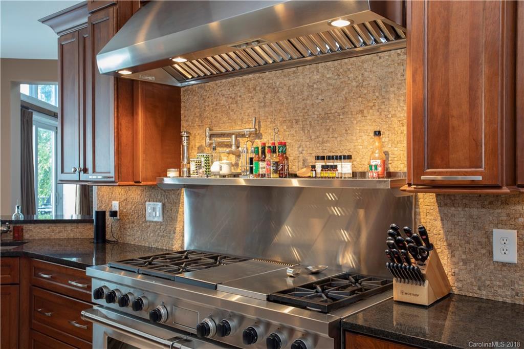 19125 Peninsula Point Drive Cornelius, NC 28031 - Photo 8 of 31