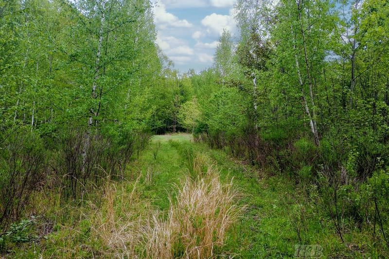 58-acres Northeast County Line Road Coleman, MI 48618 - Photo 37 of 45