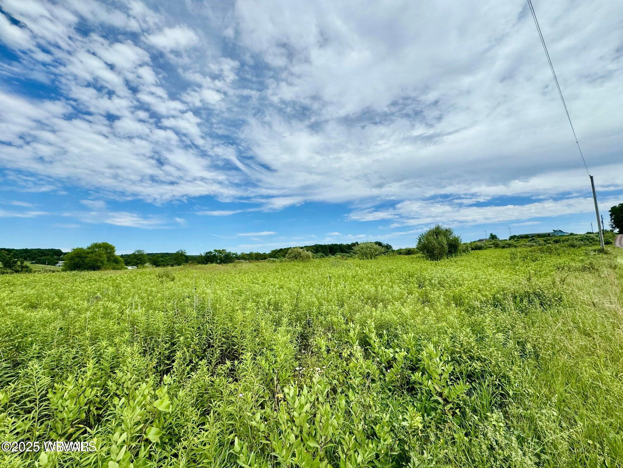 141 Mccoy Road Muncy, PA 17756 - Photo 6 of 6 20250721123850663846000000-o