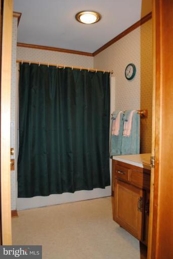 22532 Indian Point Road Bozman, MD 21612 - Photo 11 of 27 Bath #1