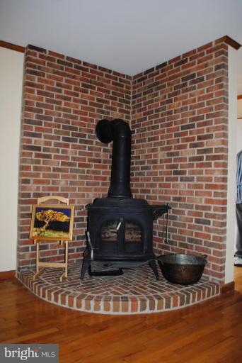 22532 Indian Point Road Bozman, MD 21612 - Photo 17 of 27 Fireplace