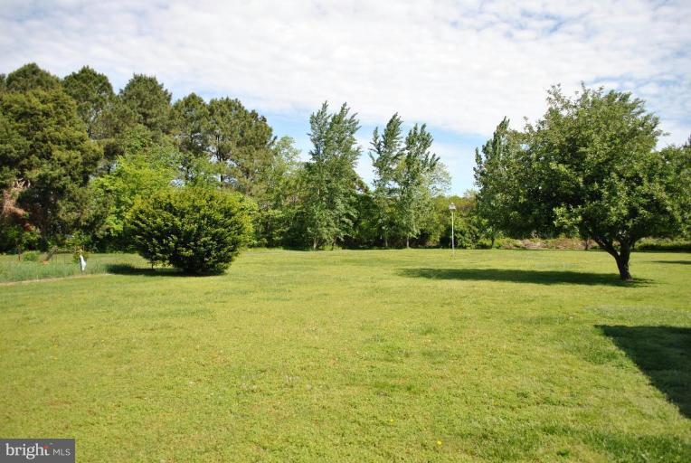 22532 Indian Point Road Bozman, MD 21612 - Photo 7 of 27 Back yard