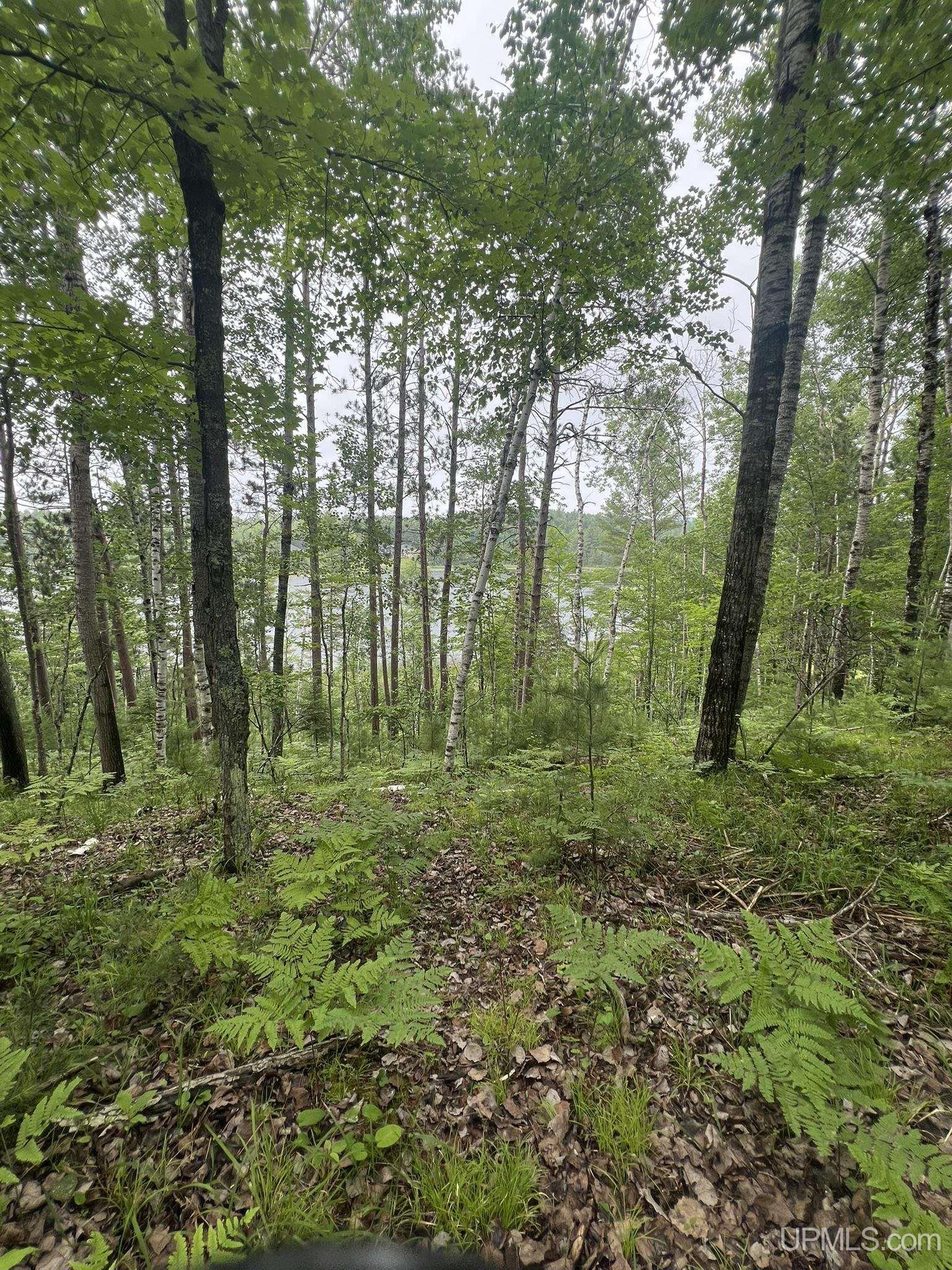 Tbd Waucedah Road Vulcan, MI 49892 - Photo 11 of 16