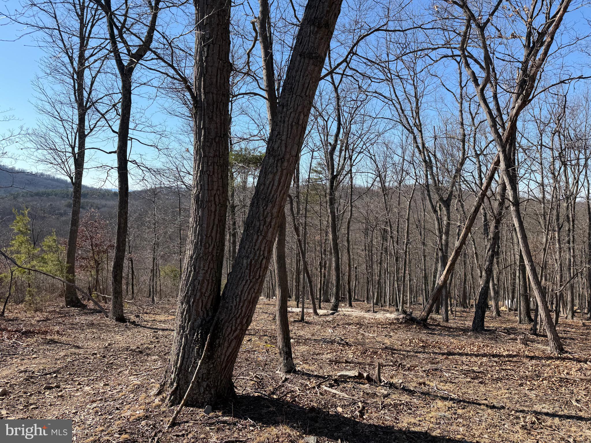 Goldsborough Road Springfield, WV 26763 - Photo 13 of 18