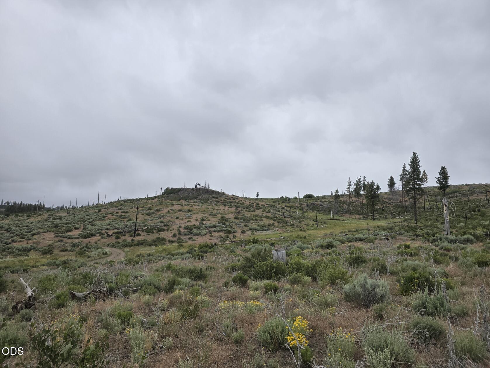 Ram Road, Unit 30 Chiloquin, OR 97624 - Photo 6 of 7