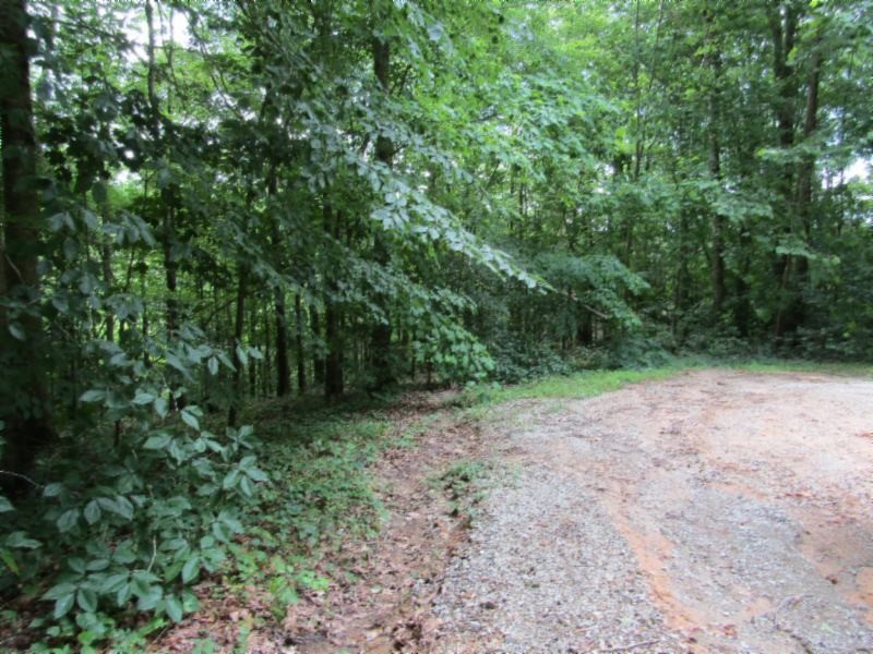 0 82 Rue Des Rindler Alpine, TN 38543 - Photo 11 of 21