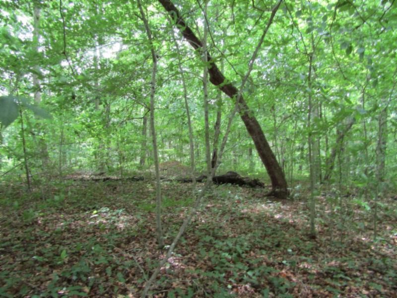 0 82 Rue Des Rindler Alpine, TN 38543 - Photo 14 of 21