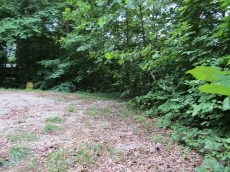 0 82 Rue Des Rindler Alpine, TN 38543 - Photo 16 of 21