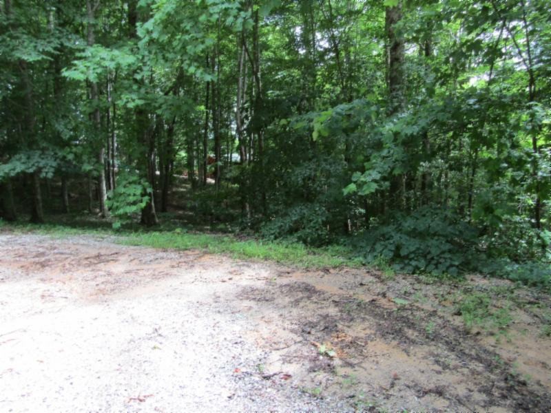 0 82 Rue Des Rindler Alpine, TN 38543 - Photo 10 of 21