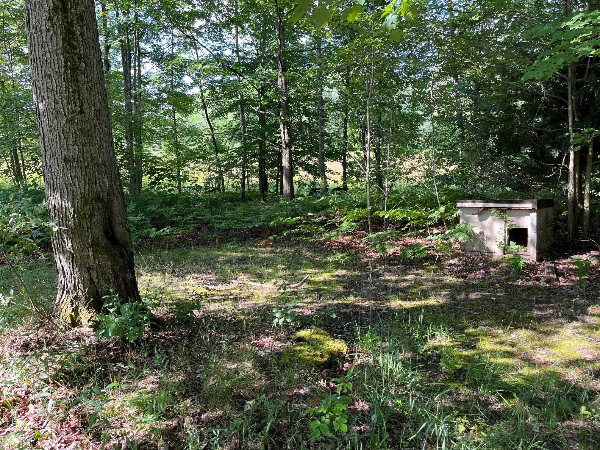 22296 Adams Road Copemish, MI 49625 - Photo 12 of 18