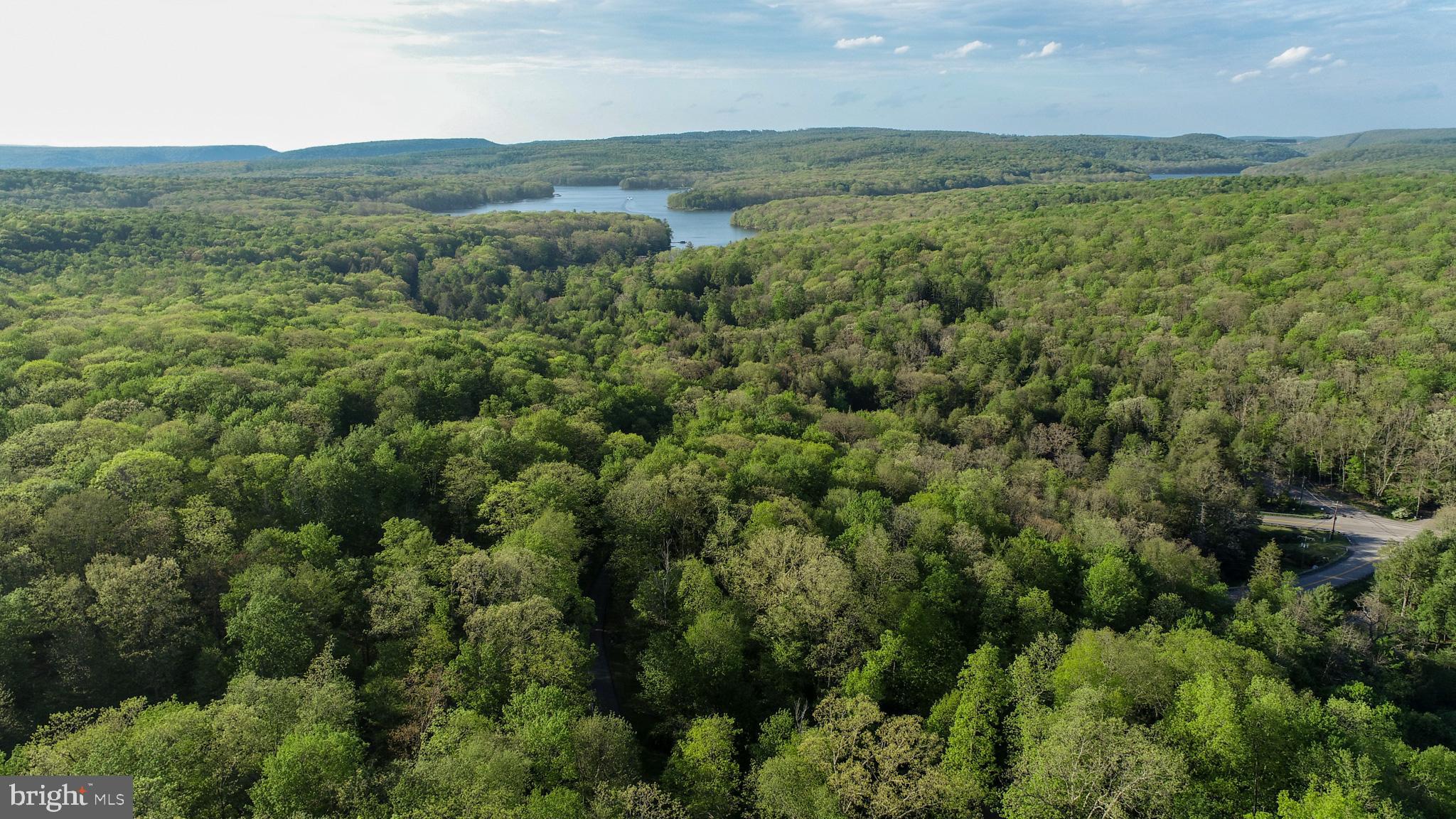 Red Run Heights Road Oakland, MD 21550 - Photo 20 of 24 an aerial view of field with trees