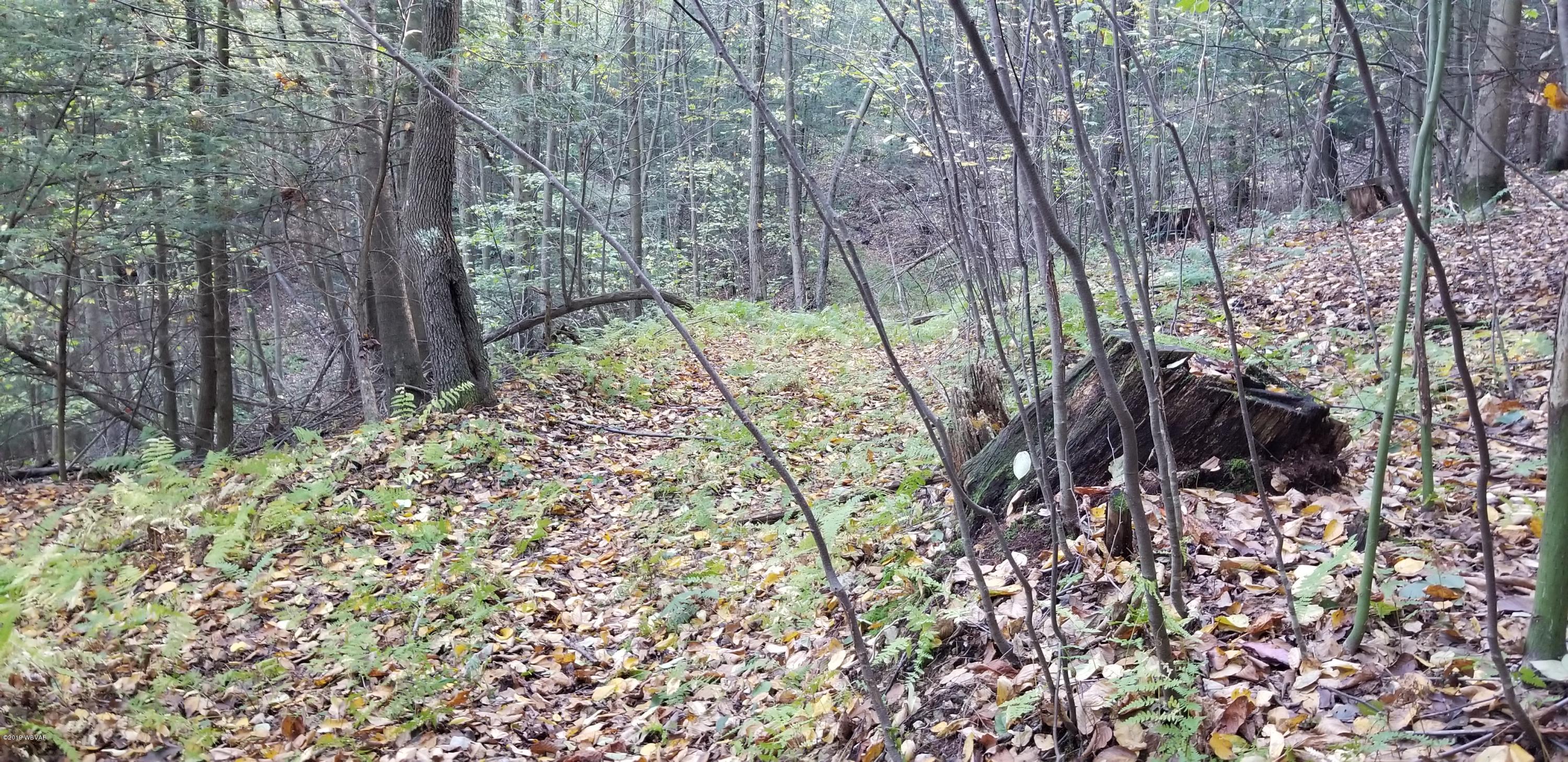 Turkey Bottom Road Road Muncy, PA 17756 - Photo 15 of 21 20191005_091851