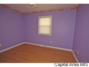 602 Springfield Road Athens, IL 62613 - Photo 10 of 12 Gallery Image 10
