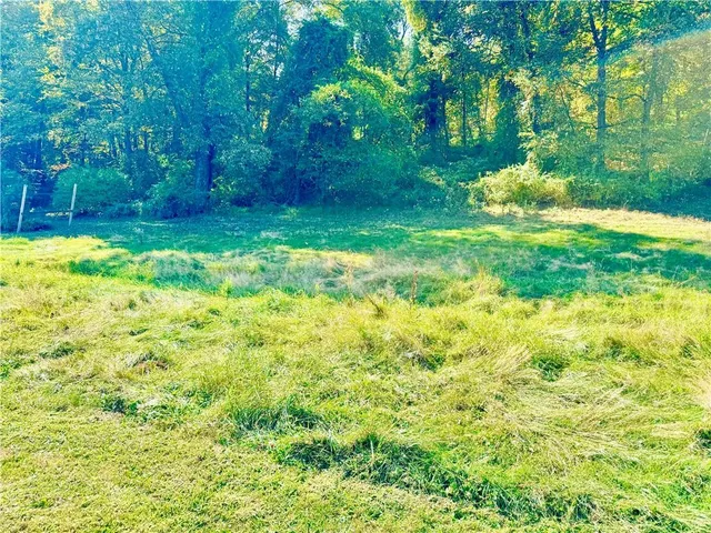 a view of a fire pit in a yard with large trees
