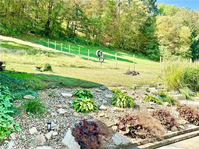a view of a park with large trees