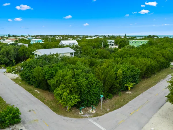 a view of a garden with a lake