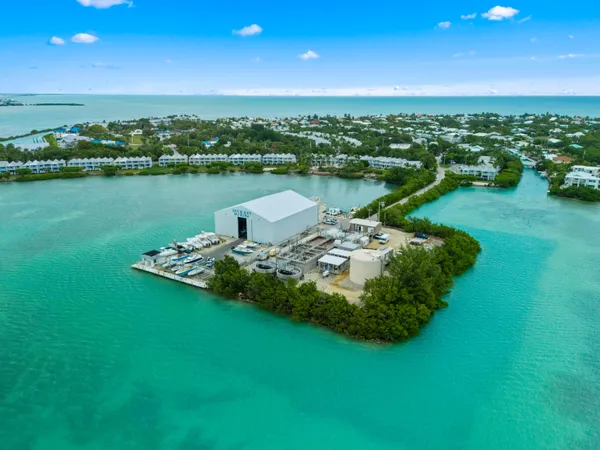 a view of a lake with a city view