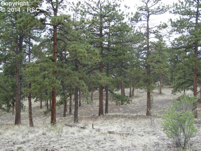 21 Post Road Guffey, CO 80820 - Photo 10 of 10 Gallery Image 10