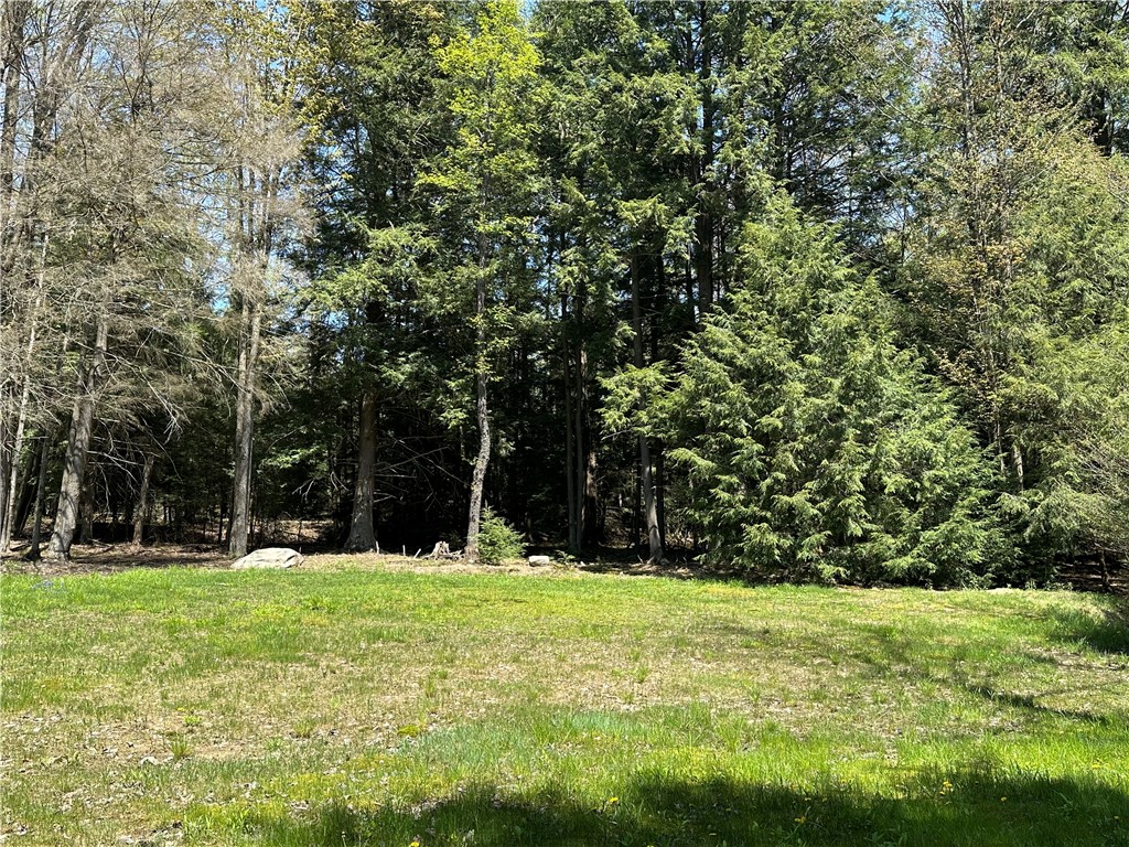 910 Welsh Street Kane, PA 16735 - Photo 41 of 44