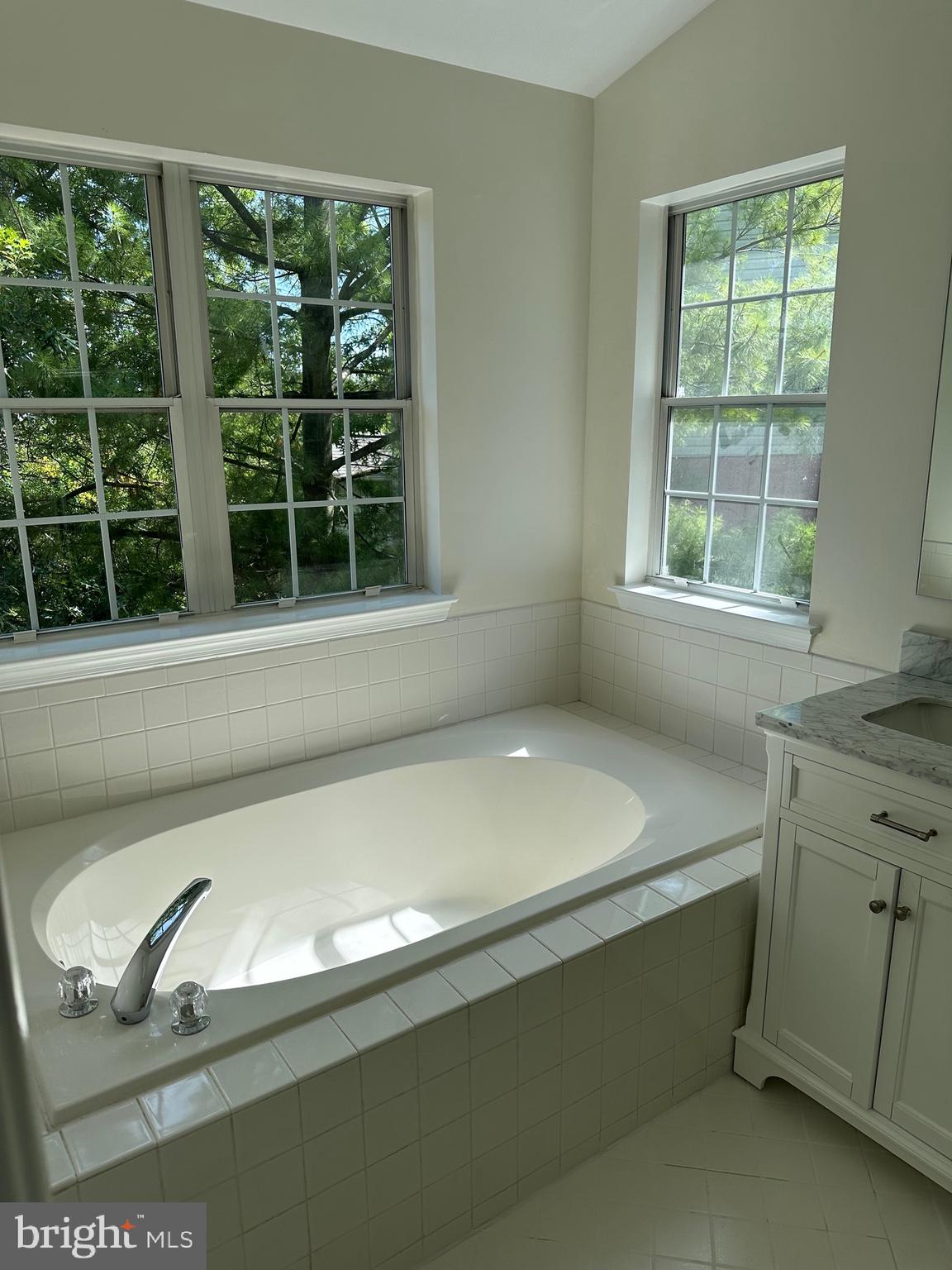 929 Jubal Way Frederick, MD 21701 - Photo 8 of 20 Master Bath Soaking Tub