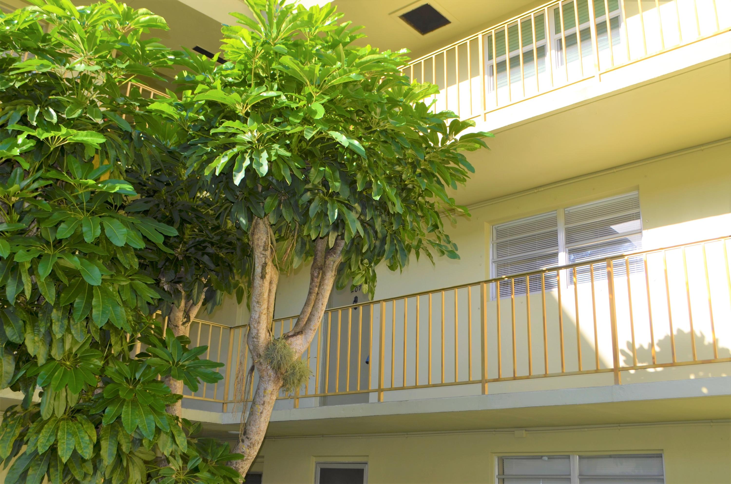 5701 Northwest 2nd Avenue, Unit 2070 Boca Raton, FL 33487 - Photo 21 of 26 Front Door