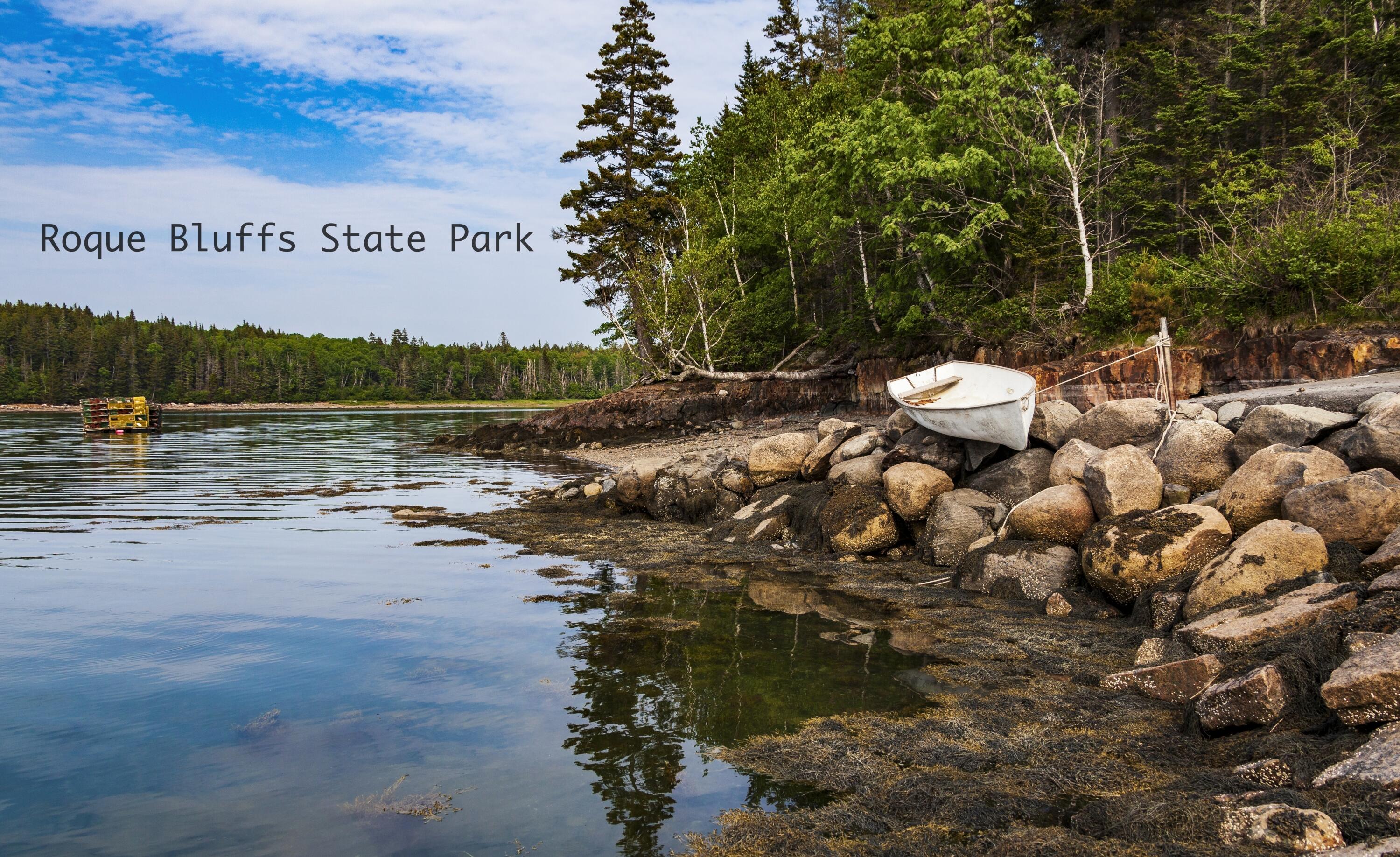 89 Johnson Cove Road Roque Bluffs, ME 04654 - Photo 28 of 36