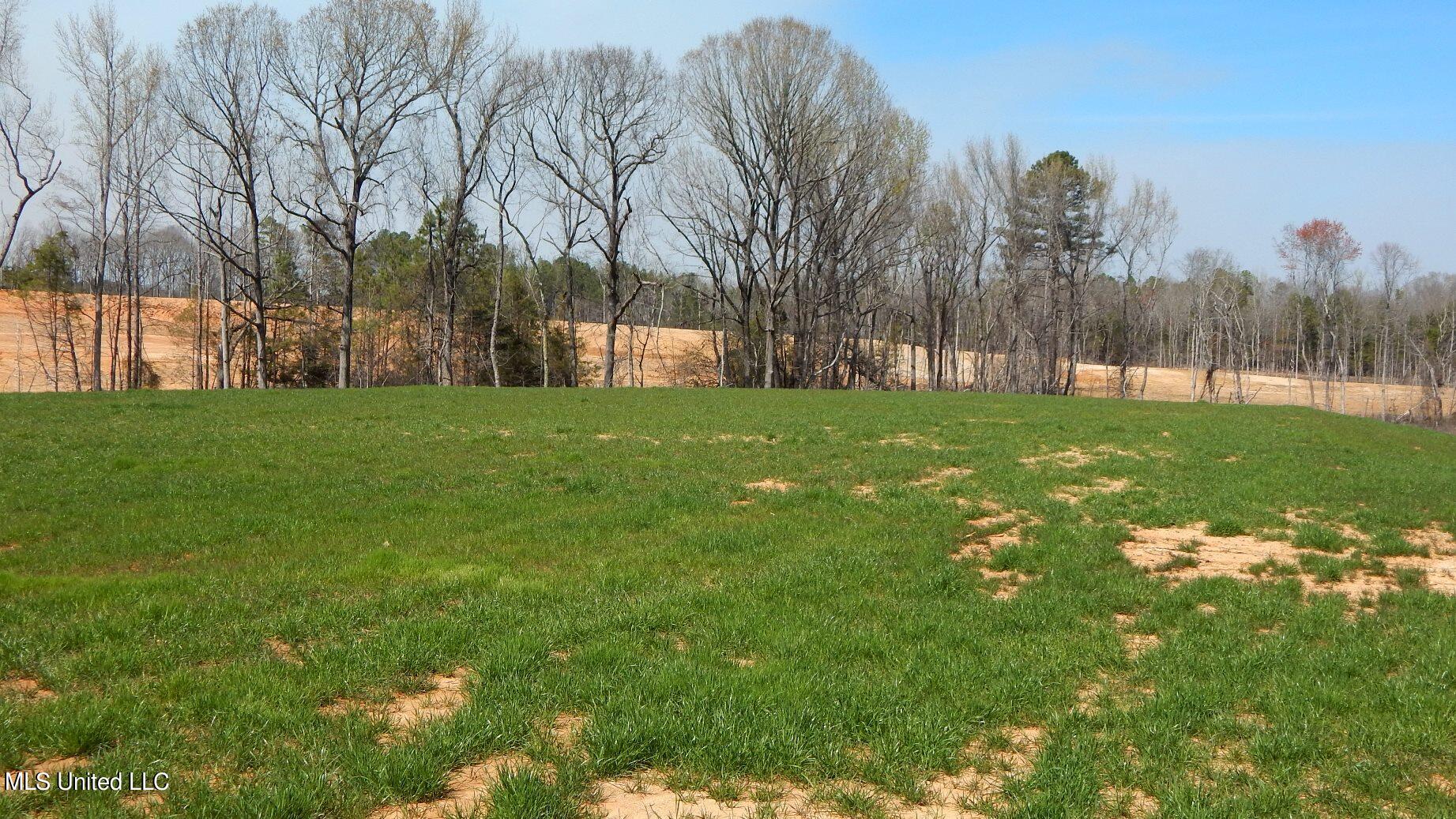 688 Graysport Crossing Road Gore Springs, MS 38929 - Photo 2 of 13 DSCN4999