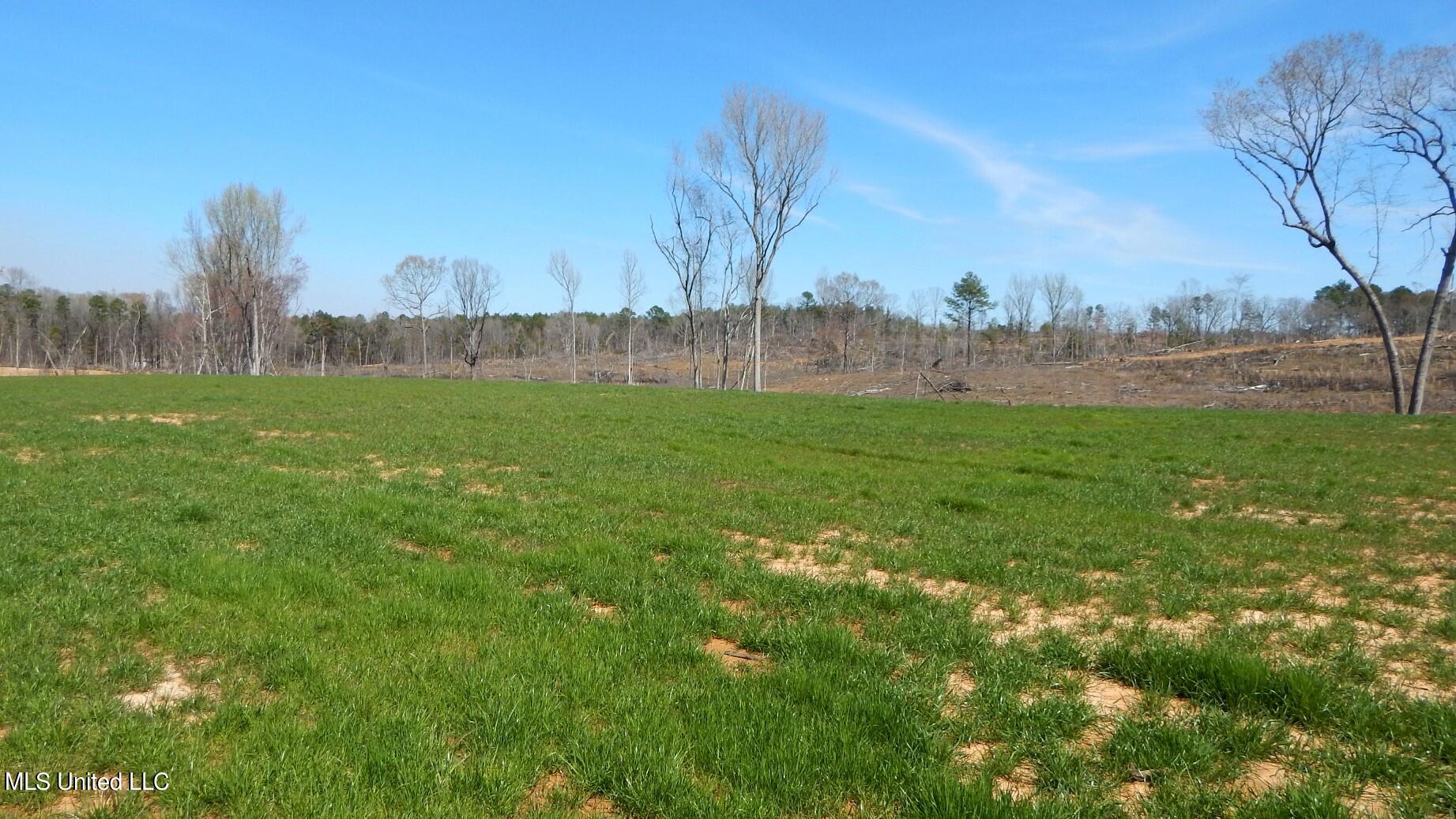 688 Graysport Crossing Road Gore Springs, MS 38929 - Photo 3 of 13 DSCN4997