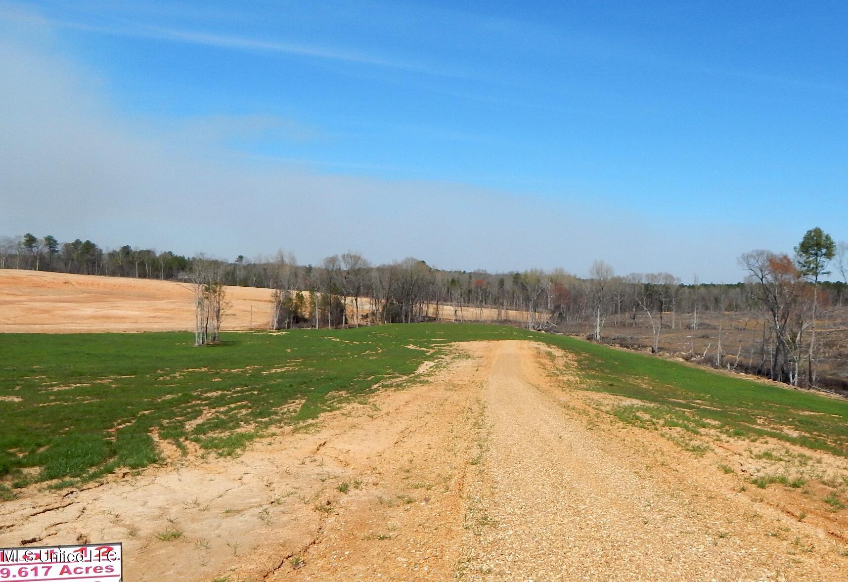 688 Graysport Crossing Road Gore Springs, MS 38929 - Photo 4 of 13 DSCN4994