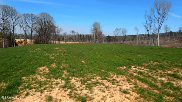 $97,900 | 688 Graysport Crossing Road, Gore Springs, MS 38929