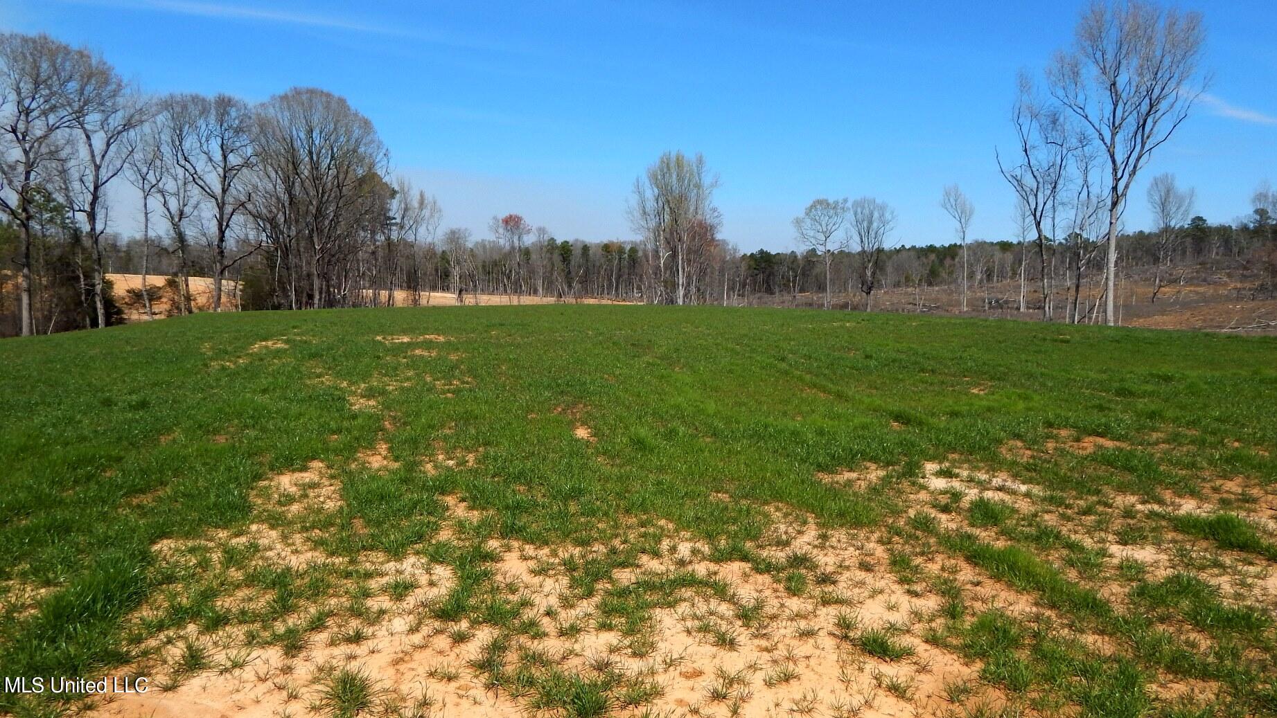 688 Graysport Crossing Road Gore Springs, MS 38929 - Photo 5 of 13 DSCN4995