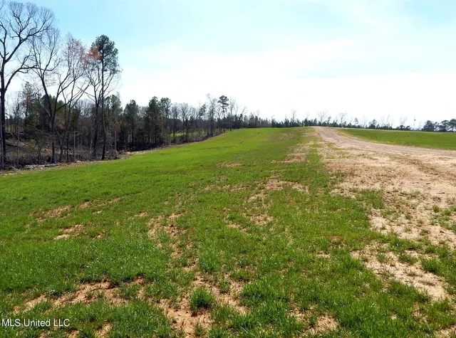 $97,900 | 688 Graysport Crossing Road, Gore Springs, MS 38929