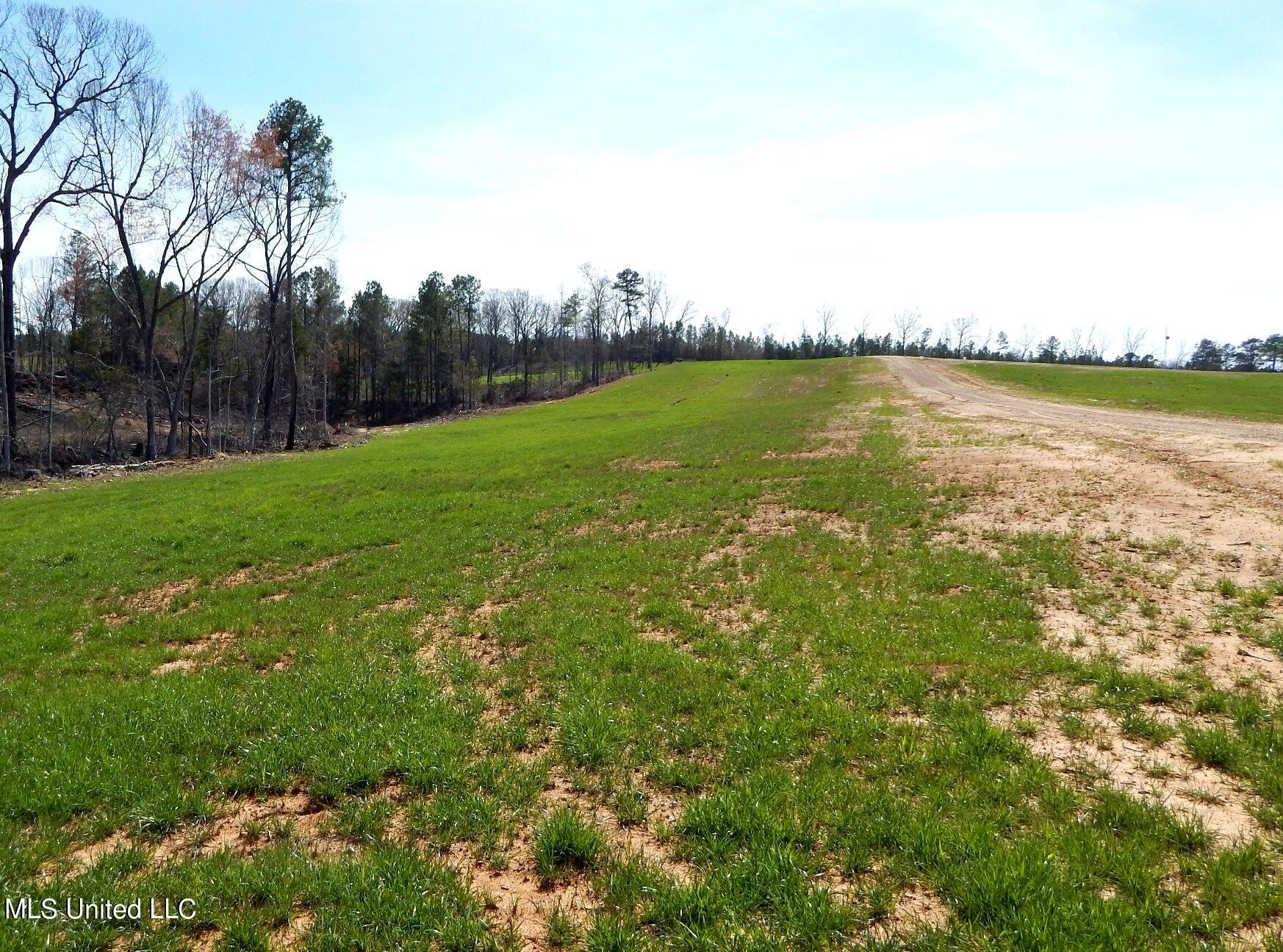 688 Graysport Crossing Road Gore Springs, MS 38929 - Photo 6 of 13 DSCN5001