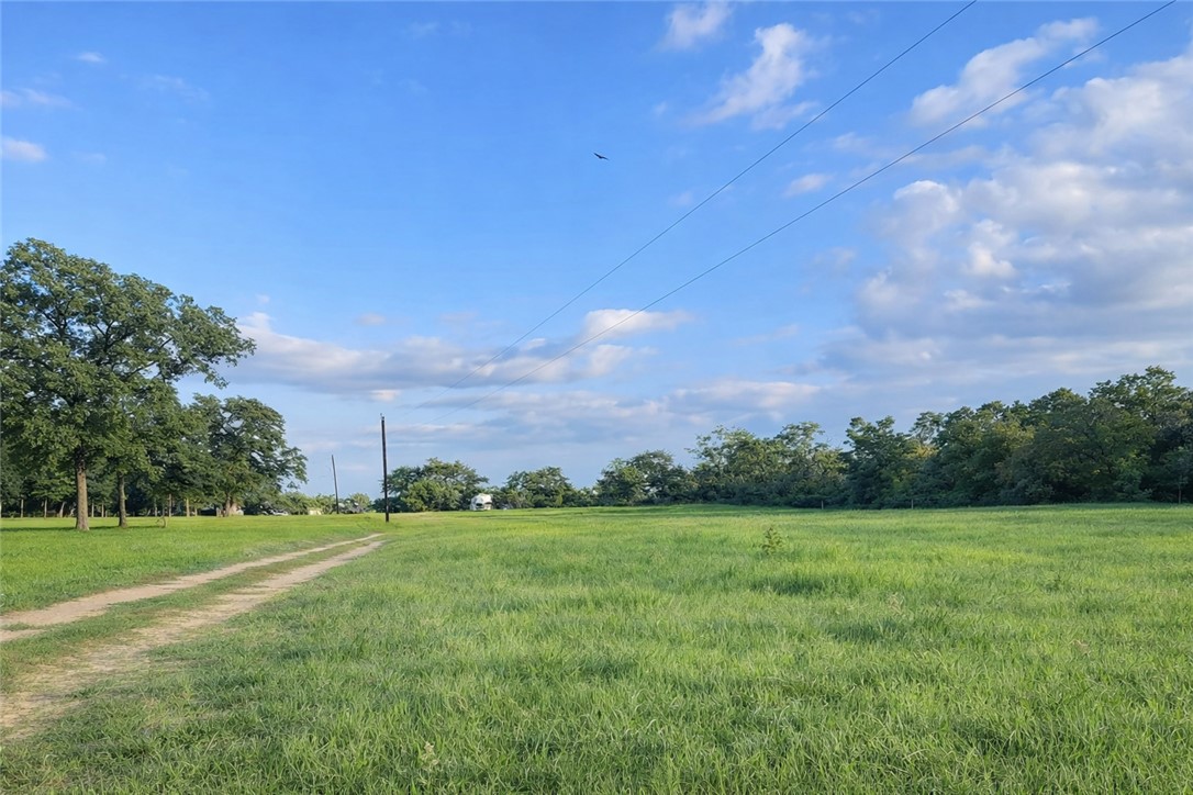 7031 Red Rock Road Franklin, TX 77856 - Photo 3 of 17 a view of a grassy field