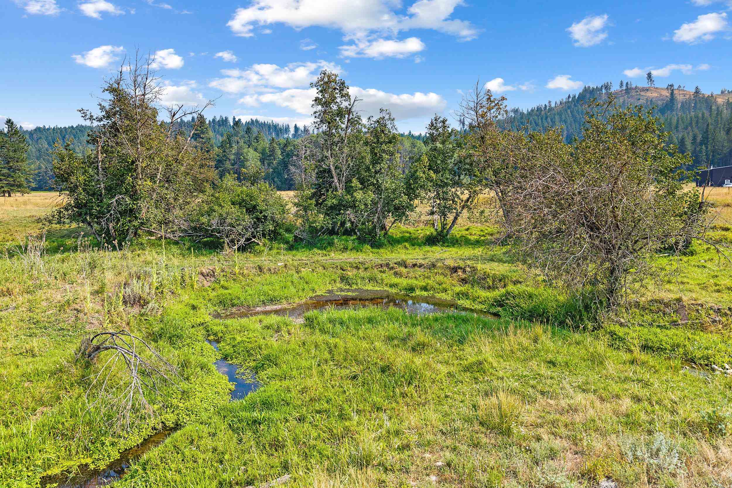 2228 Blue Creek Road West Addy, WA 99101 - Photo 50 of 50 Gallery Image 50