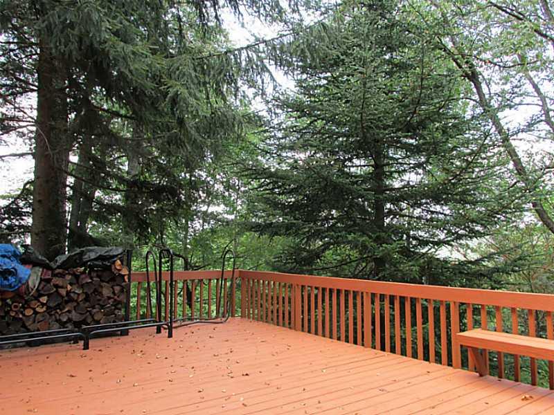 281 Alpine Heights Road Champion, PA 15622 - Photo 24 of 25 Patio/Deck. This way looks out to the North Face ski slopes