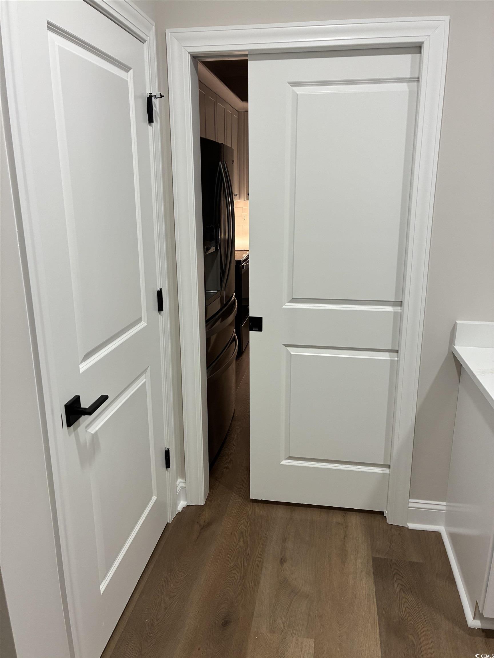 6927 Pauley Swamp Road Conway, SC 29527 - Photo 17 of 40 Pocket Door