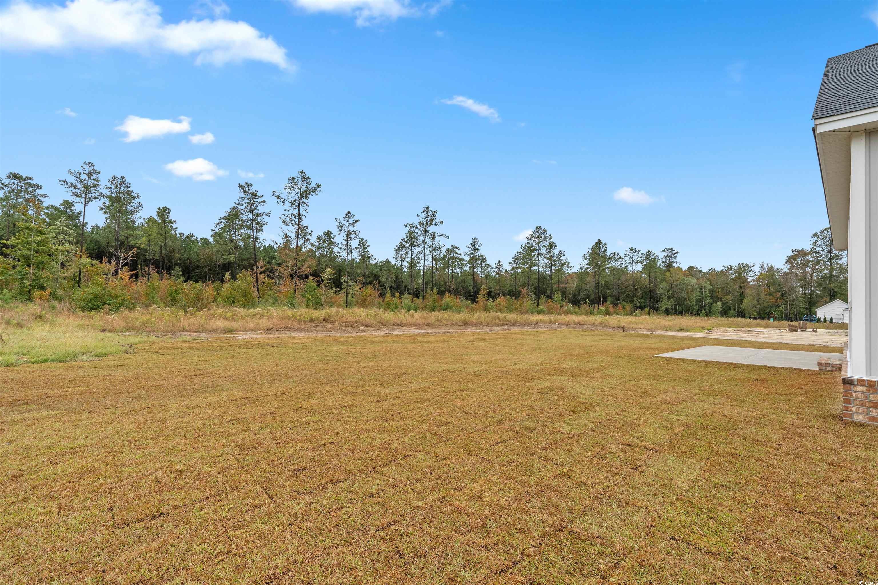 6927 Pauley Swamp Road Conway, SC 29527 - Photo 23 of 40 View of grassy yard