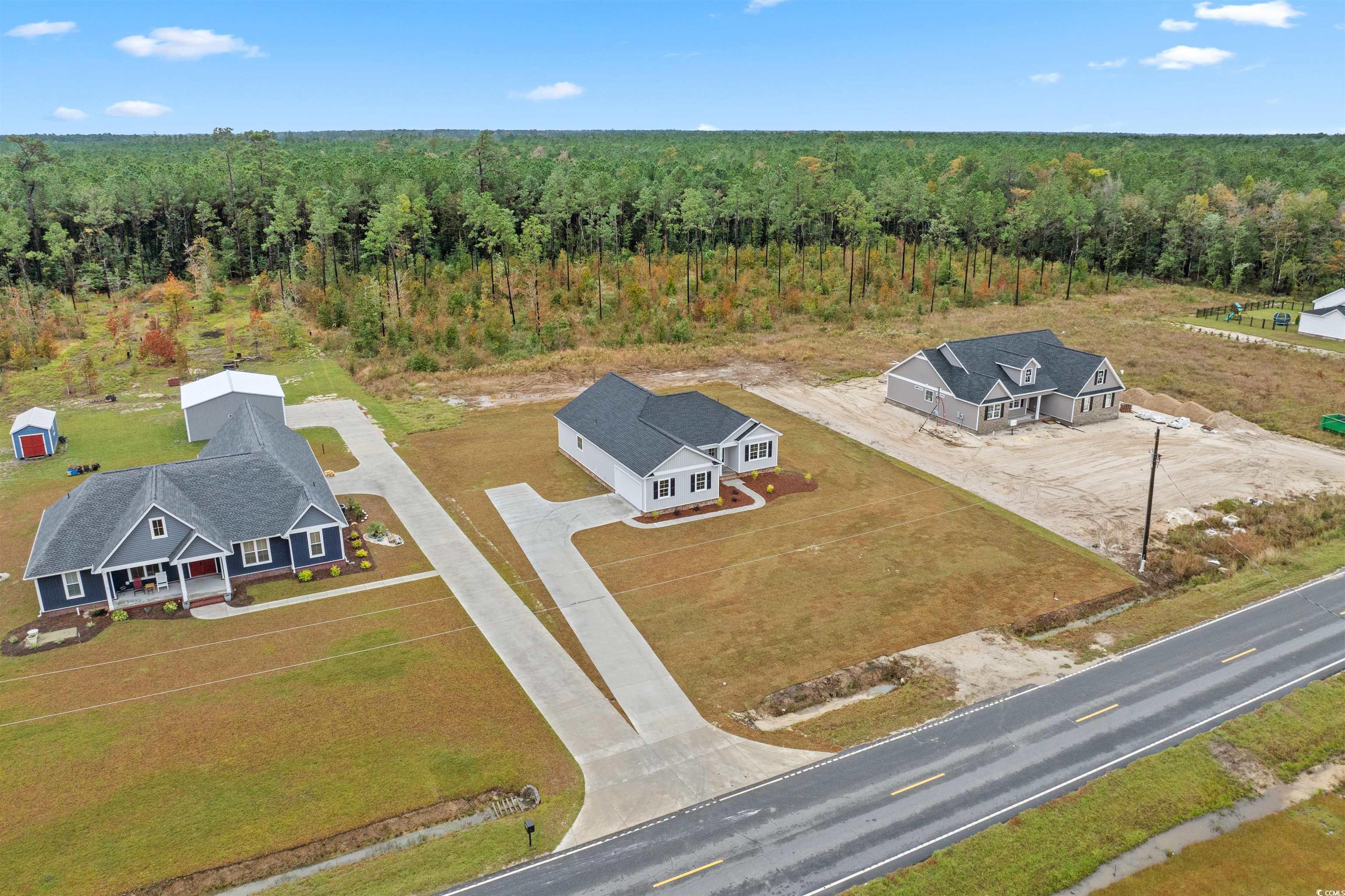 6927 Pauley Swamp Road Conway, SC 29527 - Photo 4 of 40 Bird's eye view of a forest